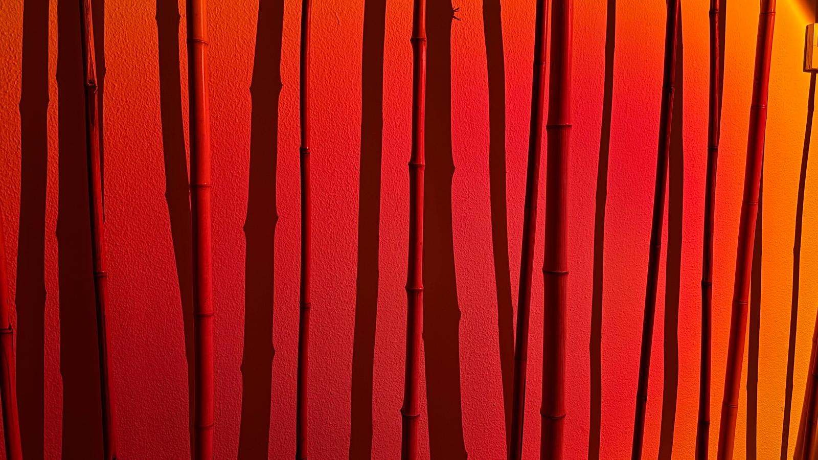 Bambús rojos